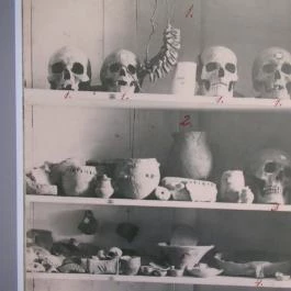 Gyulai Almásy-kastély Látogatóközpont, Gyula - 