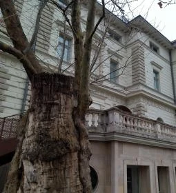 HAB Hungarian Art and Business galéria