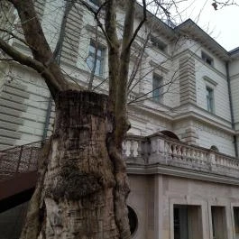 HAB Hungarian Art and Business galéria Budapest - Egyéb