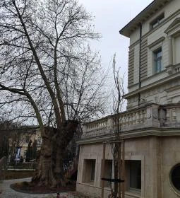 HAB Hungarian Art and Business galéria