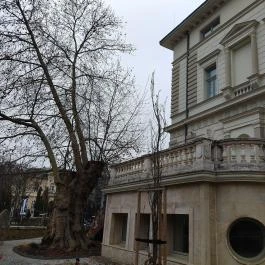 HAB Hungarian Art and Business galéria Budapest - Egyéb