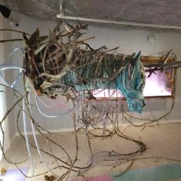 HAB Hungarian Art and Business galéria Budapest - Egyéb