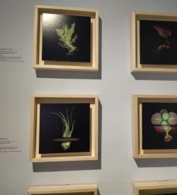 HAB Hungarian Art and Business galéria