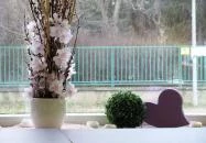 Habcsók Cukrászda Budapest