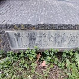 Hagymaszobor Makó - Egyéb