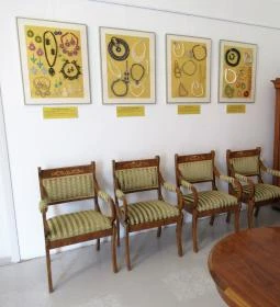 Halász Móricz-kúria