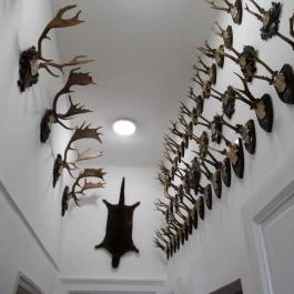 Halász Móricz-kúria Dabas - Egyéb