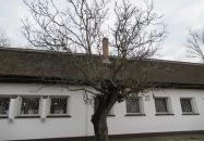 Halászcsárda Százhalombatta Százhalombatta