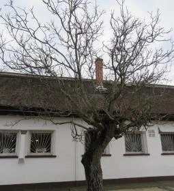 Halászcsárda Százhalombatta