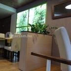 Véndiófa Étterem Zalaegerszeg - Belső