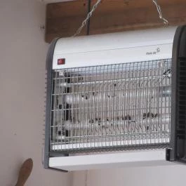 Halműhely - Dózsa György út Budapest - Belső