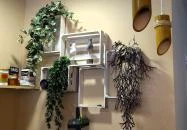 HANSAI étterem Budapest