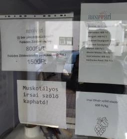 Hanyvári Pincészet