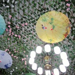 Happy Panda - Asian Street Food Budapest - Egyéb