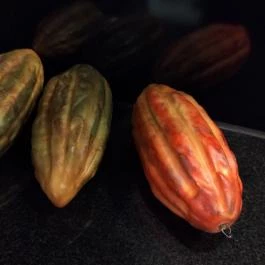 Harrer Csokoládéműhely és Cukrászda Sopron - Egyéb