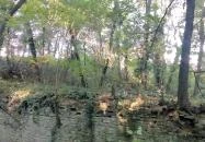 Harsánylejtői kőhíd Budapest