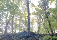 Harsánylejtői kőhíd Budapest