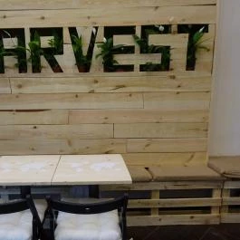 Harvest Kávézó Budakeszi - Belső