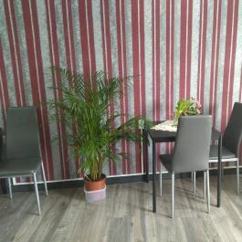 Haszti Bistro Budapest - Belső