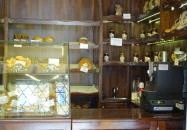 Hauki Pékség Budapest