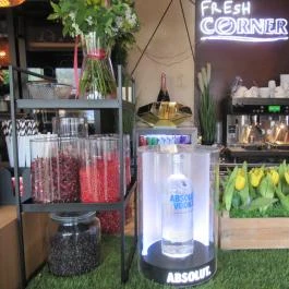 Hello Buda Budapest - Belső