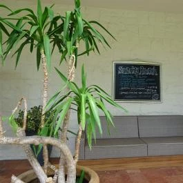 Hemingway Étterem, Budapest - Belső