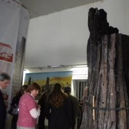 Herman Ottó Múzeum Miskolc - Egyéb