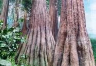 Herman Ottó Múzeum Miskolc