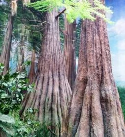 Herman Ottó Múzeum