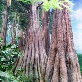 Herman Ottó Múzeum Miskolc - Egyéb