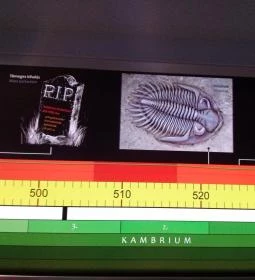 Herman Ottó Múzeum