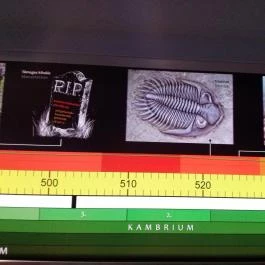 Herman Ottó Múzeum Miskolc - Egyéb