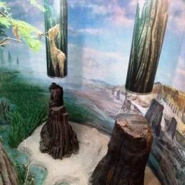 Herman Ottó Múzeum Miskolc - Egyéb