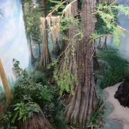 Herman Ottó Múzeum Miskolc - Egyéb