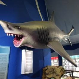 Herman Ottó Múzeum Miskolc - Egyéb