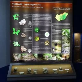 Herman Ottó Múzeum Miskolc - Egyéb