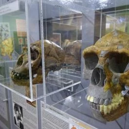 Herman Ottó Múzeum Miskolc - Egyéb