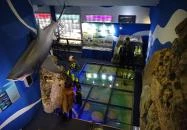 Herman Ottó Múzeum Miskolc