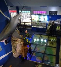 Herman Ottó Múzeum