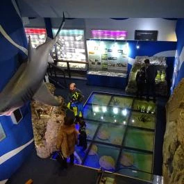 Herman Ottó Múzeum Miskolc - Egyéb