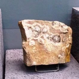 Herman Ottó Múzeum Ásványtára Miskolc - Egyéb