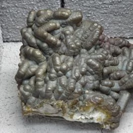 Herman Ottó Múzeum Ásványtára Miskolc - Egyéb