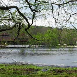 Hévízi-tó Hévíz - Egyéb