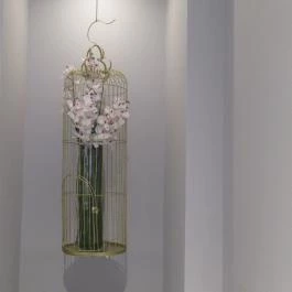 Hey Bao, Budapest - Egyéb