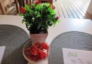 Hibiszkusz Café Budapest