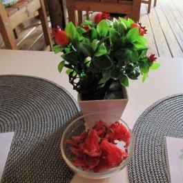 Hibiszkusz Café Budapest - Egyéb