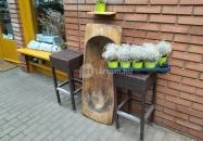 Hinta Brunch Budapest