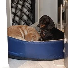 HIPPEACE by Főzelékes Feri, Budapest - Egyéb