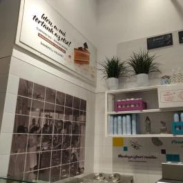 Hisztéria Cremeria Budapest - Belső