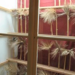 Komáromi erődrendszer - Monostori Erőd, Komárom - Egyéb